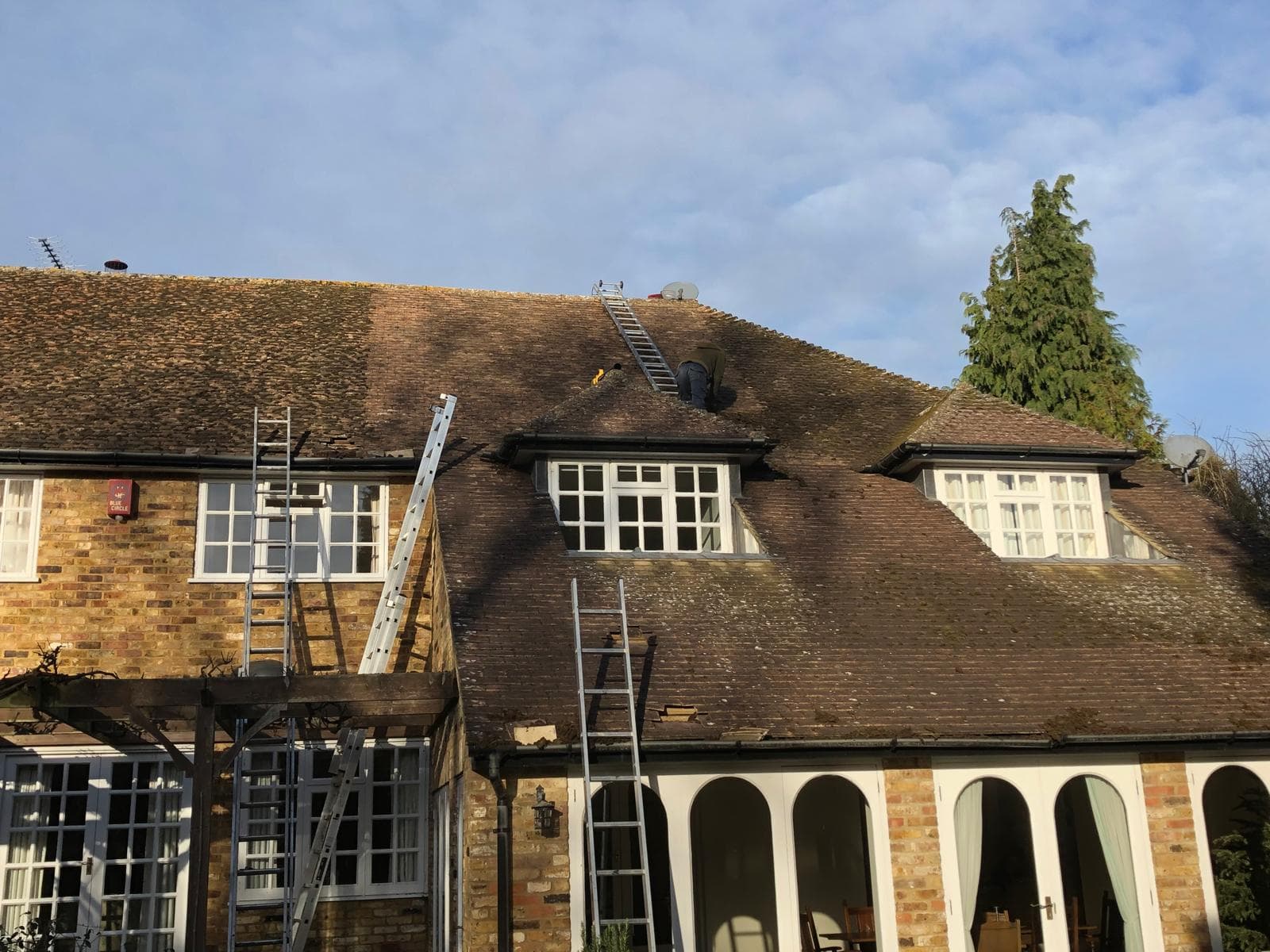 Heavily mossed clay tiled roof on a 1930s house with ladders up and a roofer clearing moss from the ridge by hand